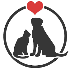 The Best Companion
